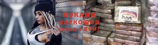 бошки Пересвет