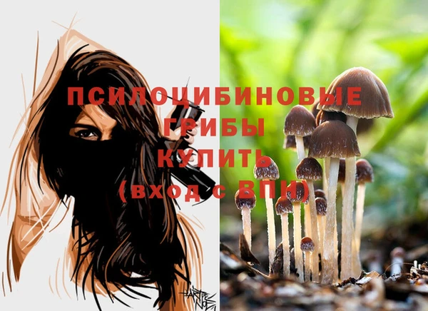 молекула духа Абдулино