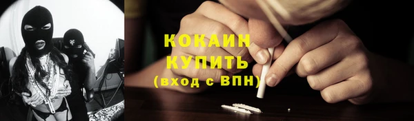 тгк Абаза
