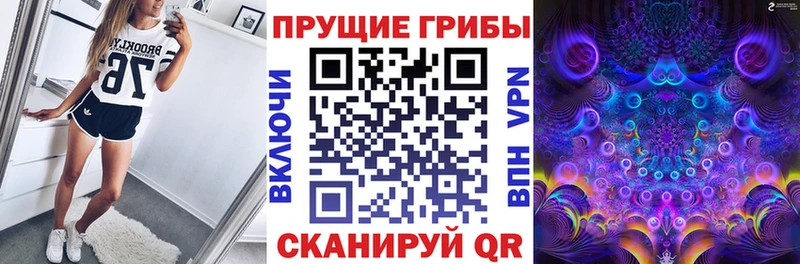 Галлюциногенные грибы мицелий  купить закладку  Урень 